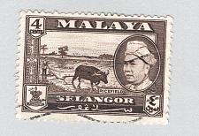 Buy Mayala Selangor 104 1957 Sultan Alam Used (BP89513)