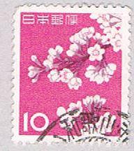 Buy Japan cherry blossom 10 (AP107620)