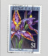 Buy Australia Orchid purple $1.00 Used (BP91302)