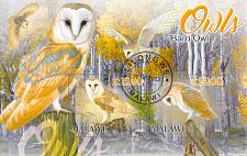 Buy Malawi 2022 Sheet Barn Owl wildlife bird 2 values (TS0173)