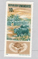 Buy Rwanda Unused Water Buffalo (BP88313)