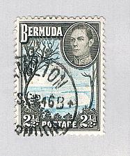 Buy Bermuda 120A Used Grape Bay 1938 CV 1.25 (BP64507)