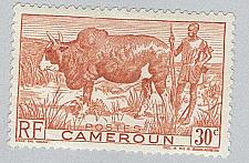 Buy Cameroun 305 Zebu and Herder MLH (BP94111)