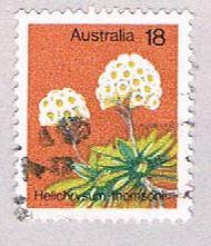 Buy Australia Flower 18 (AP119701)