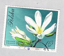 Buy Poland Flower white 115za (AP134805)
