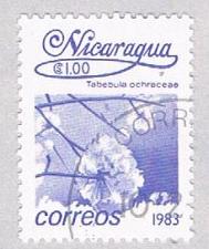 Buy Nicaragua Flower purple 100 (AP117017)