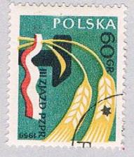 Buy Poland Wheat 60 (AP114509)