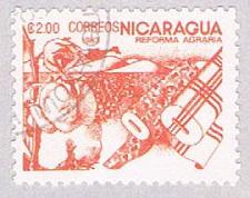 Buy Nicaragua Cotton 2 (AP104905)
