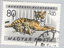 Buy Hungary Used Tiger and Cubs Gray 80 (BP85410)