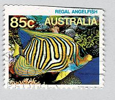 Buy Australia Regal angelfish multi 85 Used (BP89321)