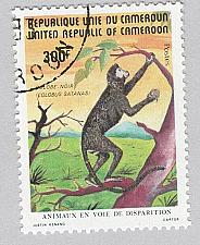 Buy Cameroun 718 Black Colo?us Monkey Used (BP94322)