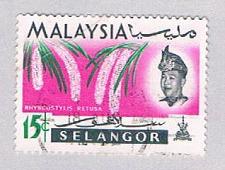 Buy Malaysia Selangor 126 Used Flowers (BP2516)