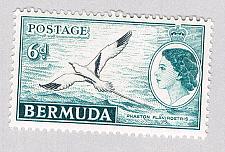 Buy Bermuda 152 Unused Tropic Bird 1953 CV 5.00 (BP64214)