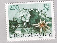 Buy Hungary Used Mountain green 200 (BP85401)