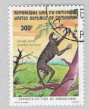 Buy Cameroun 718 Black Colo?us Monkey Used (BP94321)
