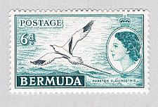 Buy Bermuda 152 Unused Tropic Bird 2 1953 CV 5.00 (BP64216)