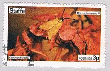 Buy Staffa Butterfly 3p (AP119509)