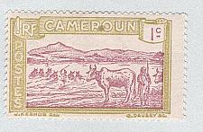 Buy Cameroun 170 Cattle Crossing MLH (BP94103)