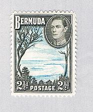 Buy Bermuda 120A MLH Grape Bay 1 1938 CV 2.50 (BP64506)