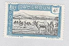 Buy Cameroun 172 Cattle Crossing MLH (BP93220)