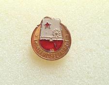 Buy Mik i vogel i Librit. Friend of the Book. Badge medal from Communism of Albania