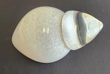 Buy Art glass paperweight Inspire Nation