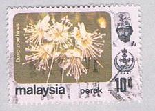Buy Malaysia Perak 156 Used Durio zibethinus (BP24527)