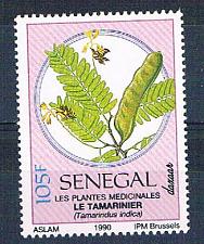 Buy Senegal 902 Unused Plant 1990 CV 1.10 (S0808)+