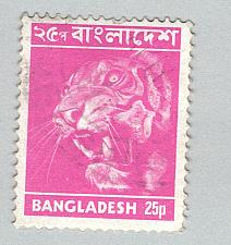 Buy Bangladesh Used Tiger magenta 25 (BP86911)