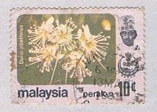 Buy Malaysia Perak 156 Used Durio zibethinus (BP2461)