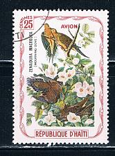 Buy Haiti Used Birds Morning Dove (H0014)+
