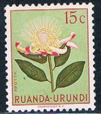 Buy Ruanda Urundi 115 Unused Flower Protea 1953 (R0239)+