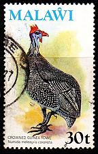 Buy MALAWI [1975] MiNr 0237 ( O/used ) Vögel