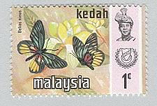 Buy Malaysia Kedah 113 Butterflies MNH 1 (BP98425)