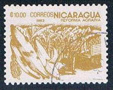 Buy Nicaragua Corn 1000 (NP7R606)