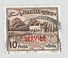 Buy Pakistan Gardens bronw 10p op (AP133805)