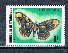 Buy Maldives 584 Unused Butterfly 1975 (M0359)+