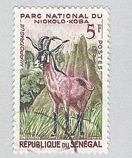 Buy Senegal 195 Roan Antelope Used 2 (BP95423)