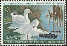 Buy US Scott #RW37 MNH OG XF 3.00 1970 US Federal Duck Stamp CV 65.00
