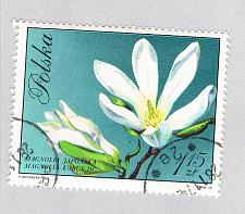 Buy Poland Flower white 115za 1 (AP134806)