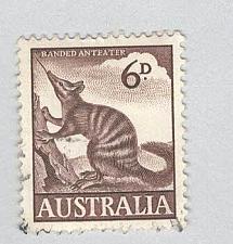 Buy Australia Banded anteater brown 6 Used (BP90035)