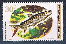 Buy Rwanda 542 Unused Fish 1973 (R0401)+