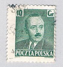 Buy Poland Man green 10gr (AP134917)