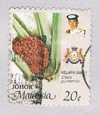 Buy Malaysia Johor 195 Used Kelapa Sawit (BP24411)
