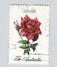 Buy Australia Flower rose red Used (BP90208)