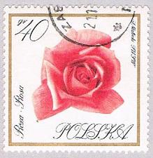 Buy Poland Flowwers 40 (AP115811)