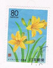 Buy Japan Prefecture Used Z306 Daylily CV .75 (JZ594)+