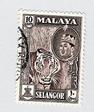 Buy Mayala Selangor 119 1961 Sulyan Aziz Used (BP89902)