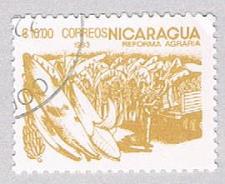 Buy Nicaragua Bananas 1000 (AP107407)