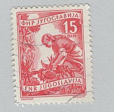 Buy Yugoslavia 347 Gathering Sunflowers Used (BP95106)